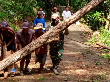 Bencana hujan dan angin melanda kawasan Desa jatimulyo